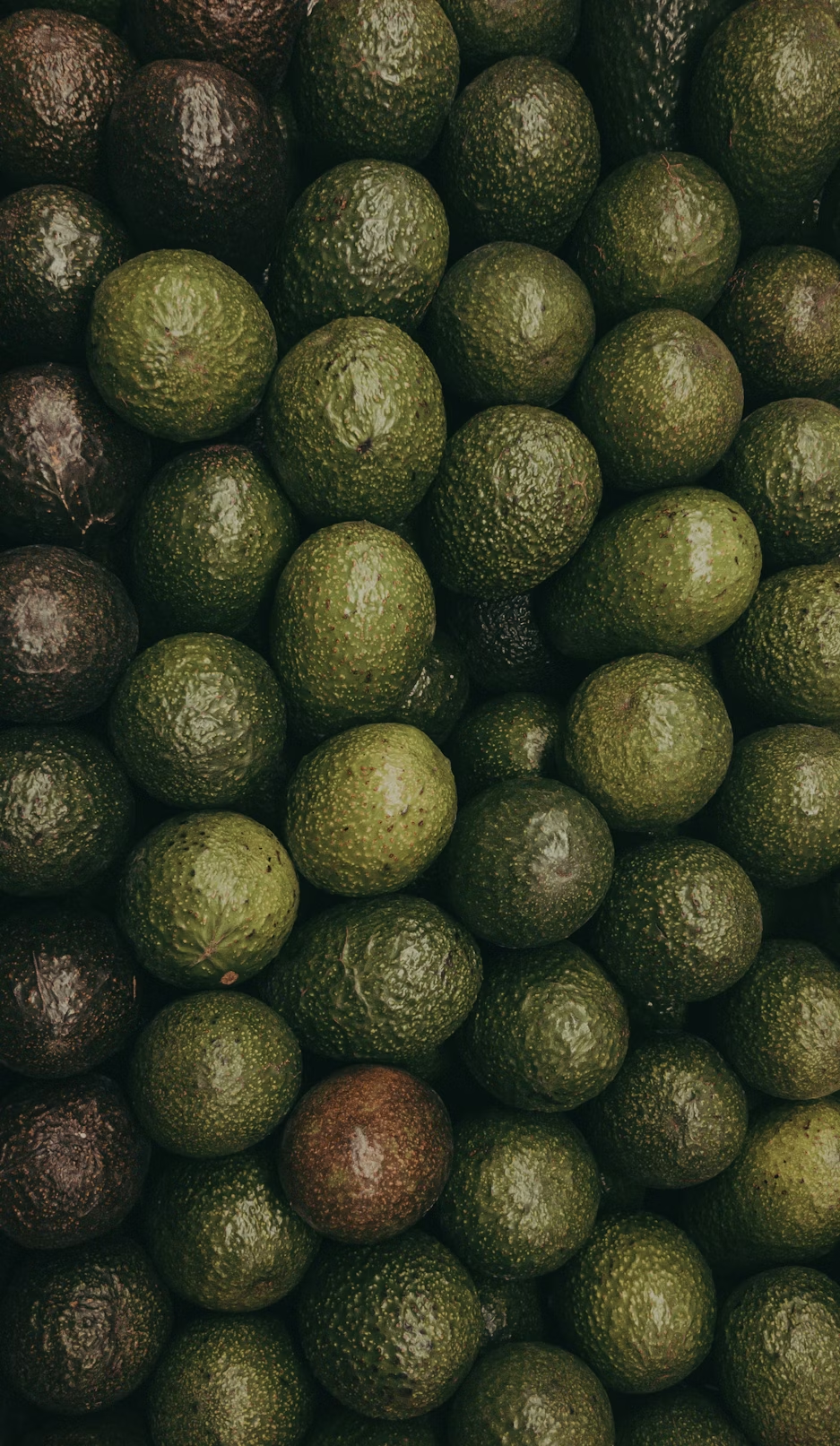 Avocados