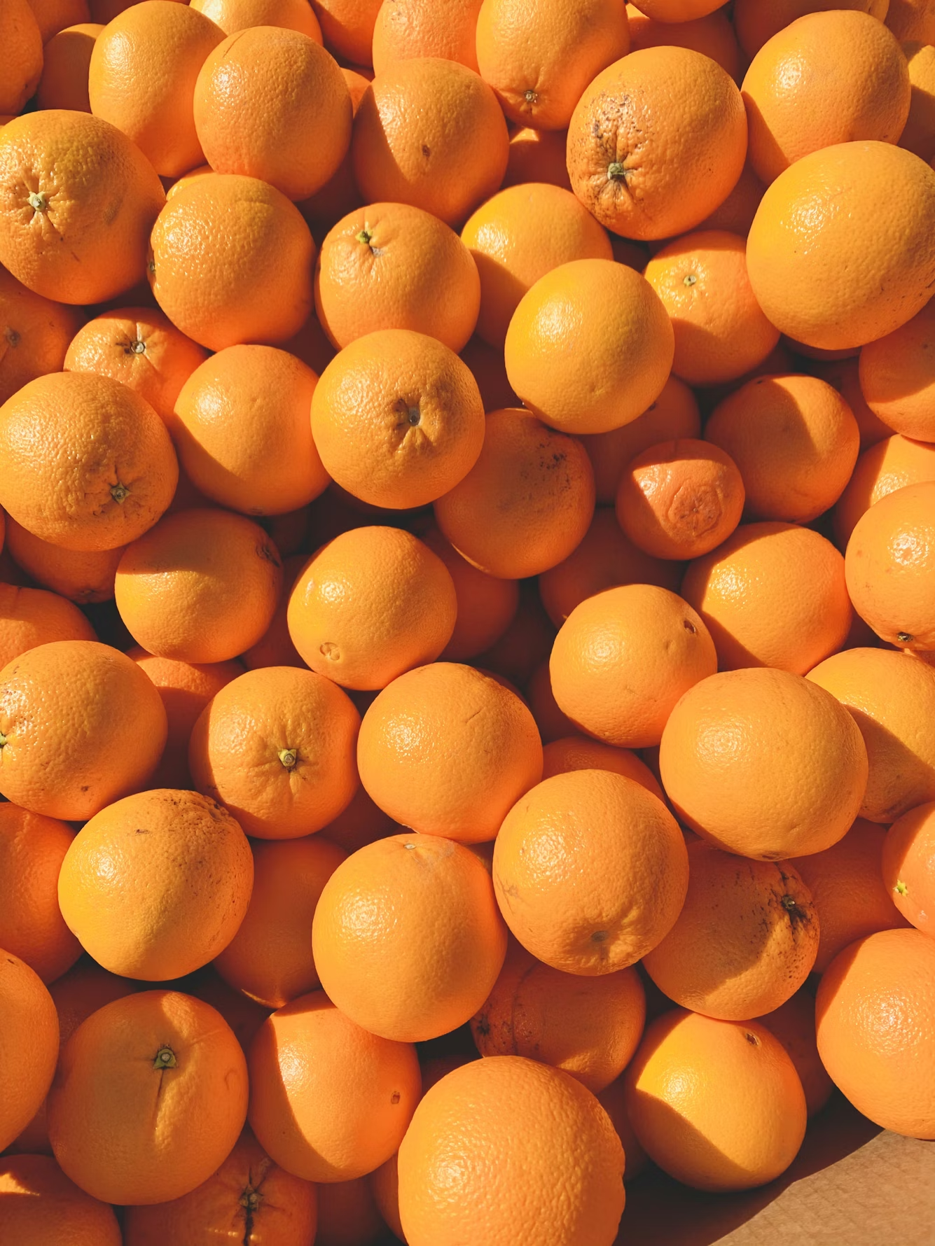 Naval Oranges